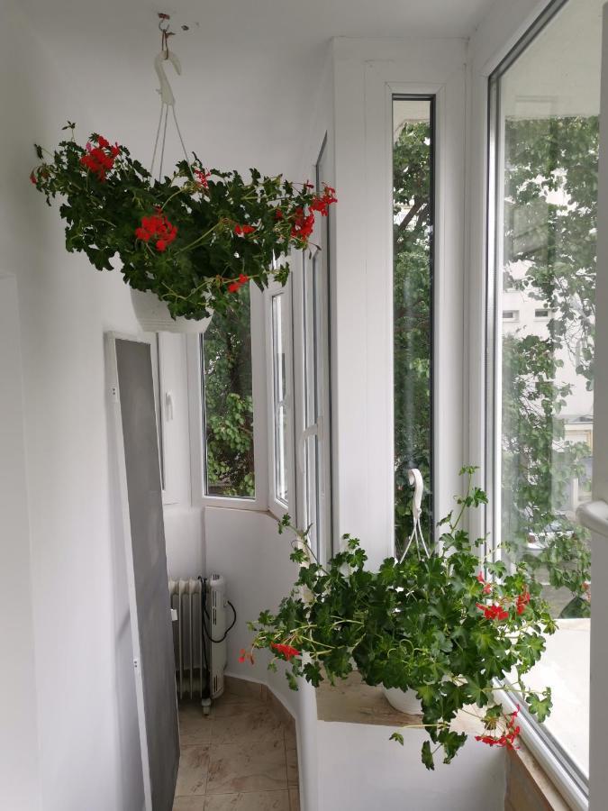 Coffee Residence Bucarest Esterno foto
